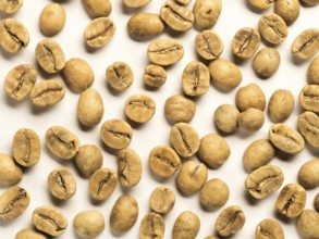 Top view of white coffee beans on white background