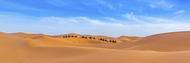 Merzouga in the Sahara Desert in Morocco. Afica. Web banner in panoramic view