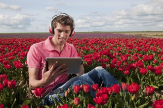Man in Dutch landscape is listening to the digital tablet PC