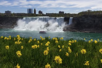 The American Bridal Veil falls visible from Niagara Falls, Ontario, Canada, North America