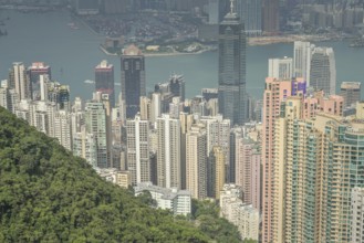 City panorama seen from Victoria Peak, Hong Kong, People's Republic of China, Asia