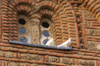 Two white doves, pigeons bird near window, Church Saint John Kaneo, Ohrid, North Macedonia