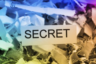 Paper shreds with the keyword Secret, symbolic photo for data destruction, banking secrecy and