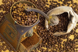 Many coffee beans lying next to a coffee grinder. Freshly ground coffee Austria