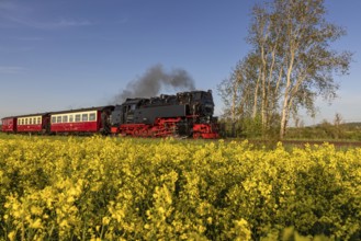 Selketal railway between Quedlinburg and Gernrode