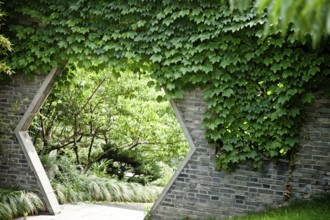 To the secret garden