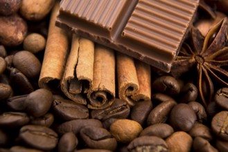 Chocolate with coffee beans, spices and cacao, lodz