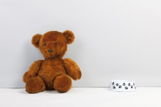 Brown teddy bear sitting at the floor