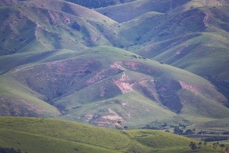Landscape with cleared green hills, Itatiaia, Rio de Janeiro, Brazil, South America
