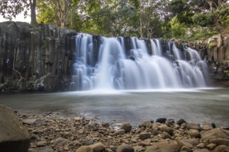 The waterfall is a 10 metre high waterfall that cascades over basal pillars into a basin. Tropical