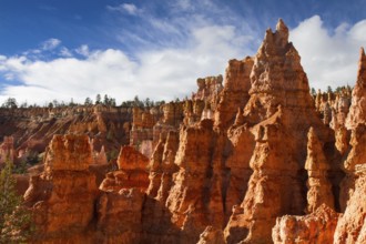 Rock Formation of Queens Stone Garden, Bryce Canyon National Park, Utah