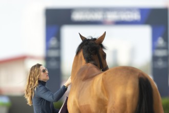 Horses, grooms and riders take part in the vet check assessing the health of the horse before
