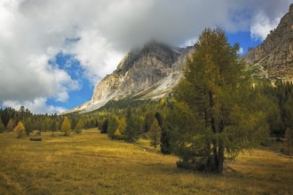 Landscape in autumn at Passo Falzarego, Dolomites, Italian Alps