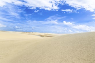 Lencois Maranhenses, National Park, Maranhao, Brazil, South America