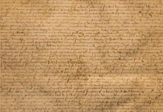 Aged handwritten manuscript text. Calligraphy on old paper, vintage background