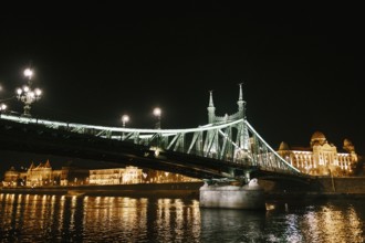 Night illumination of the Freedom Bridge in Budapest.
