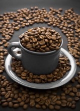 Coffee composition of coffe grain and gray cup with grain