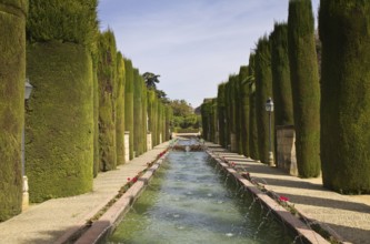 Garden of the Alcazar de los Reyes Cristianos, Cordoba, Andalusia, Spain Cordoba, Spain, Europe