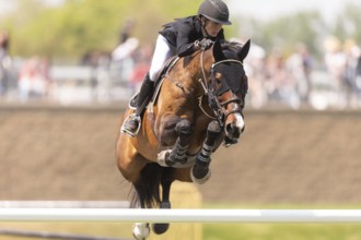 Katie Laurie of Australia and riding Django II, compete in the 1.60m Grand Prix during The