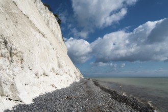 Chalk cliffs, chalk, cliffs, sea, Baltic Sea, Moen Klimt, Denmark, Northern Europe, Europe