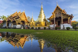 Wat Phra Singh temple, blue sky and reflection in water. Chiang Mai, Thailand, Asia