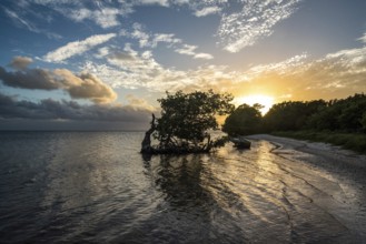 Sunset over the Everglades National Park, USA, North America