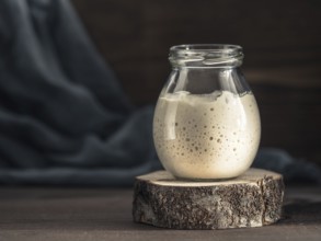 Active wheat sourdough starter in glass jar on brown wooden background. Starter for sourdough bread