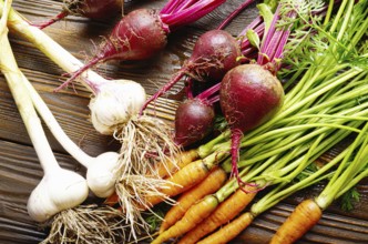 Vegetarian background of fresh organic beetroots green garlic and carrots on kitchen wooden rustic