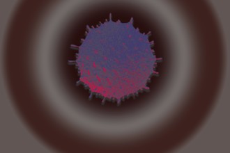 Covid-19 Novel Coronavirus Bacteria. No Infection and Stop Coronavirus Concepts