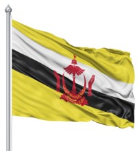 Flag of Brunei with flagpole waving in the wind against white background