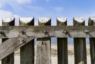 The photo shows a solid wooden fence on the island of Baltrum