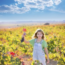 Kid girl in happy autumn vineyard field holding red leaf grapes bunch in hand