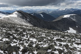 Landscape in the Abisko Alps, Norrbotten, Lapland, Sweden, July 2013, Europe
