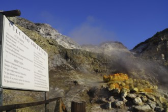 Solfatara volcanic crater, pozzuoli