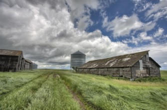 Abandoned Farm with storm clouds in the Canadian Prairie