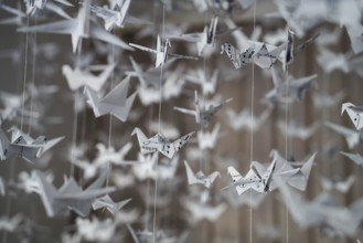 White Origami cranes paper closeup swarm macro photo