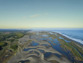 Whetland nea ocean in seventh region Maule in Chile