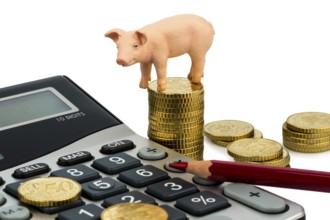 A pig and a calculator as a symbol for costs and income for a farmer in agriculture, expenses,