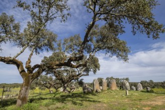 Cromlech Vale Maria do Meio, Nossa Senhora da Graça do Divor, Évora, Alentejo, Portugal, Europe