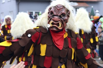 Large Swabian-Alemannic carnival parade