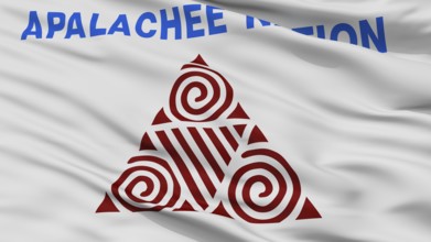 Apalachee Nation Indian Flag, Closeup View