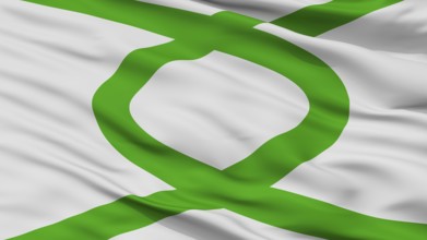 La Union City Flag, Country Chile, Closeup View