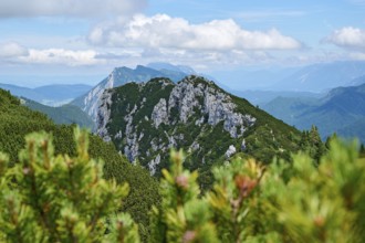 Mountain landscape with Hörndlwand, Ruhpolding, Chiemgau, Chiemgau Alps, Upper Bavaria, Bavaria,