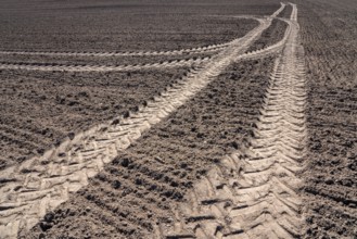 Tractor tracks, agricultural trails at a cultivated field in springtime, farmland near Wesertal,