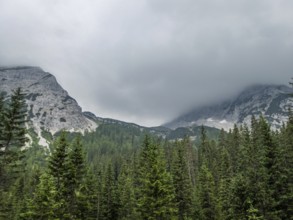 Rainy hike near Ehrwald at the Tiroler Zugspitz Arena