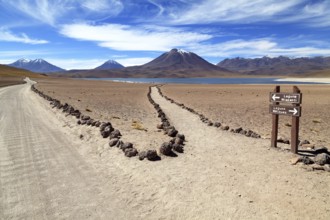 Laguna Miscanti in the Atacama Desert in Chile