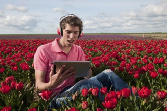 Man in Dutch landscape is listening to the digital tablet PC