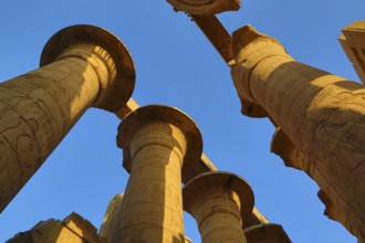 Top of columns in Karnak temple with ancient egypt hieroglyphics