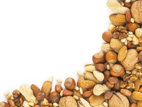 Background of mixed nuts - hazelnuts, almonds, walnuts, pistachios, peanuts, pine nuts peeled and