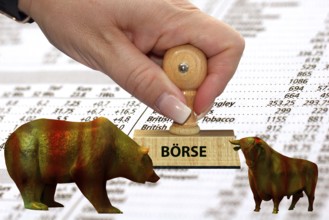 Bull and bear, symbolic figures of the stock market, Studio